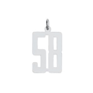 Sterling Silver/Rhodium-plated Elongated Number 58 Charm
