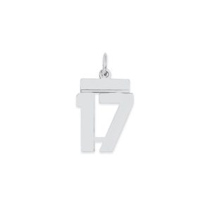 Sterling Silver/Rhodium-plated Polished Number 17 Charm