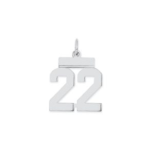 Sterling Silver/Rhodium-plated Polished Number 22 Charm