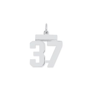 Sterling Silver/Rhodium-plated Polished Number 37 Charm