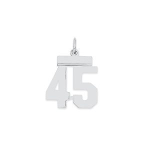 Sterling Silver/Rhodium-plated Polished Number 45 Charm