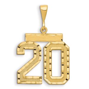 14k Small Brushed Diamond-cut Number 20 Charm