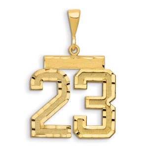 14k Small Brushed Diamond-cut Number 23 Charm