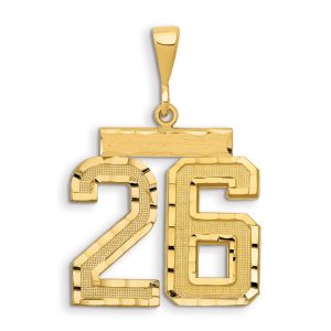 14k Small Brushed Diamond-cut Number 26 Charm