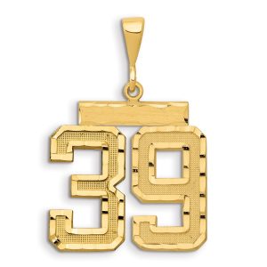 14k Small Brushed Diamond-cut Number 39 Charm