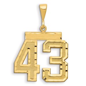 14k Small Brushed Diamond-cut Number 43 Charm