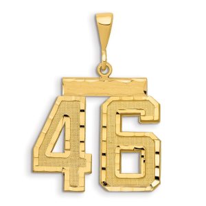 14k Small Brushed Diamond-cut Number 46 Charm