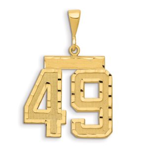 14k Small Brushed Diamond-cut Number 49 Charm