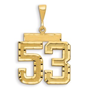 14k Small Brushed Diamond-cut Number 53 Charm